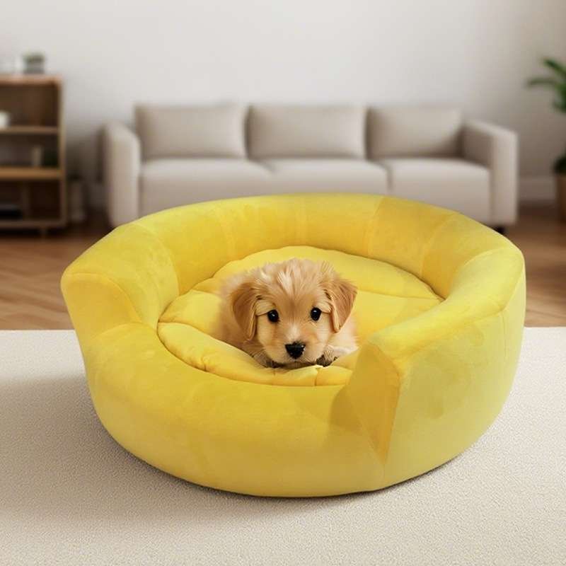 Foam dog bed